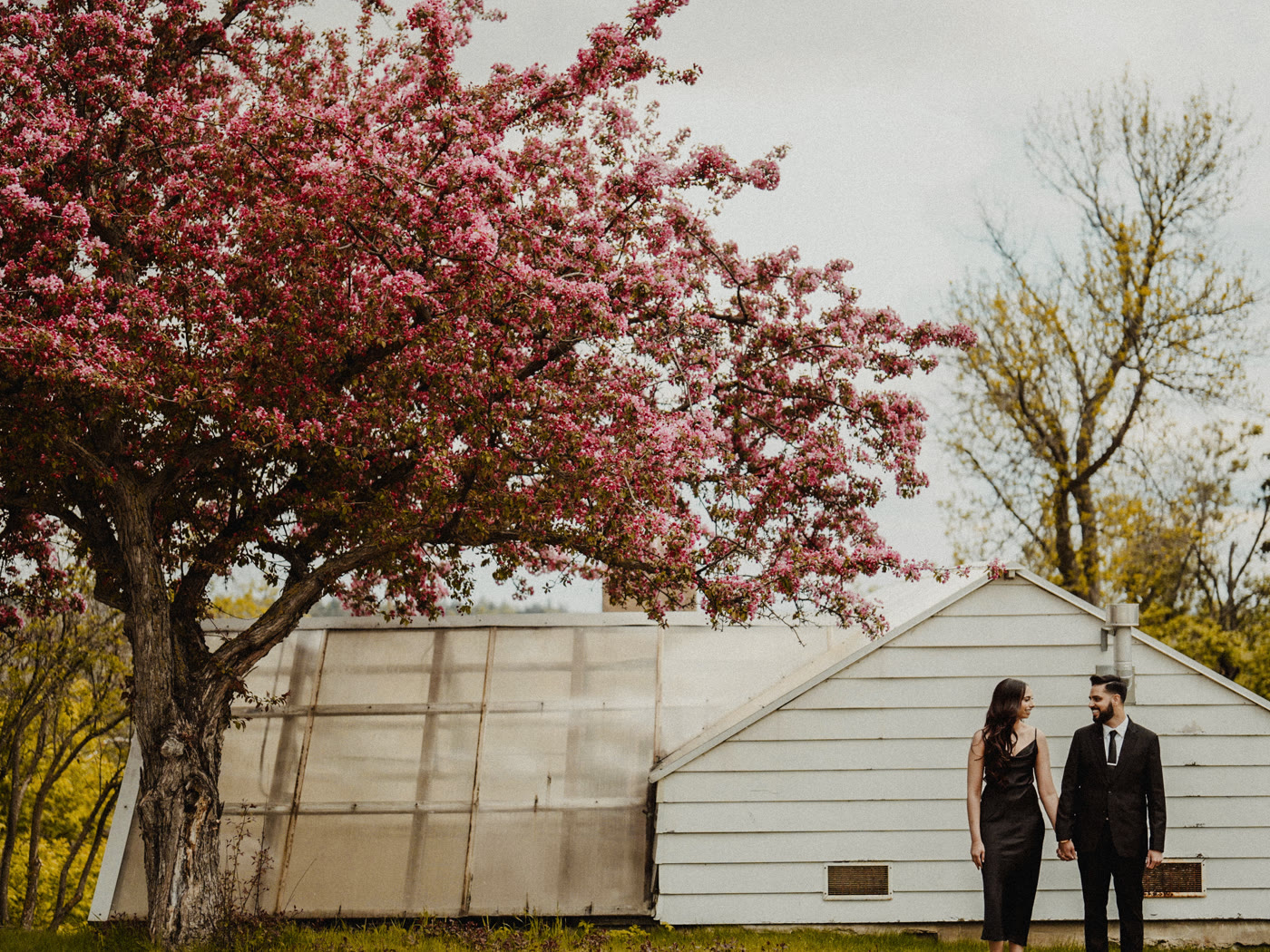 Engagement Photos Edmonton: 10 Best Locations — Edmonton wedding photography blog by MH Photography