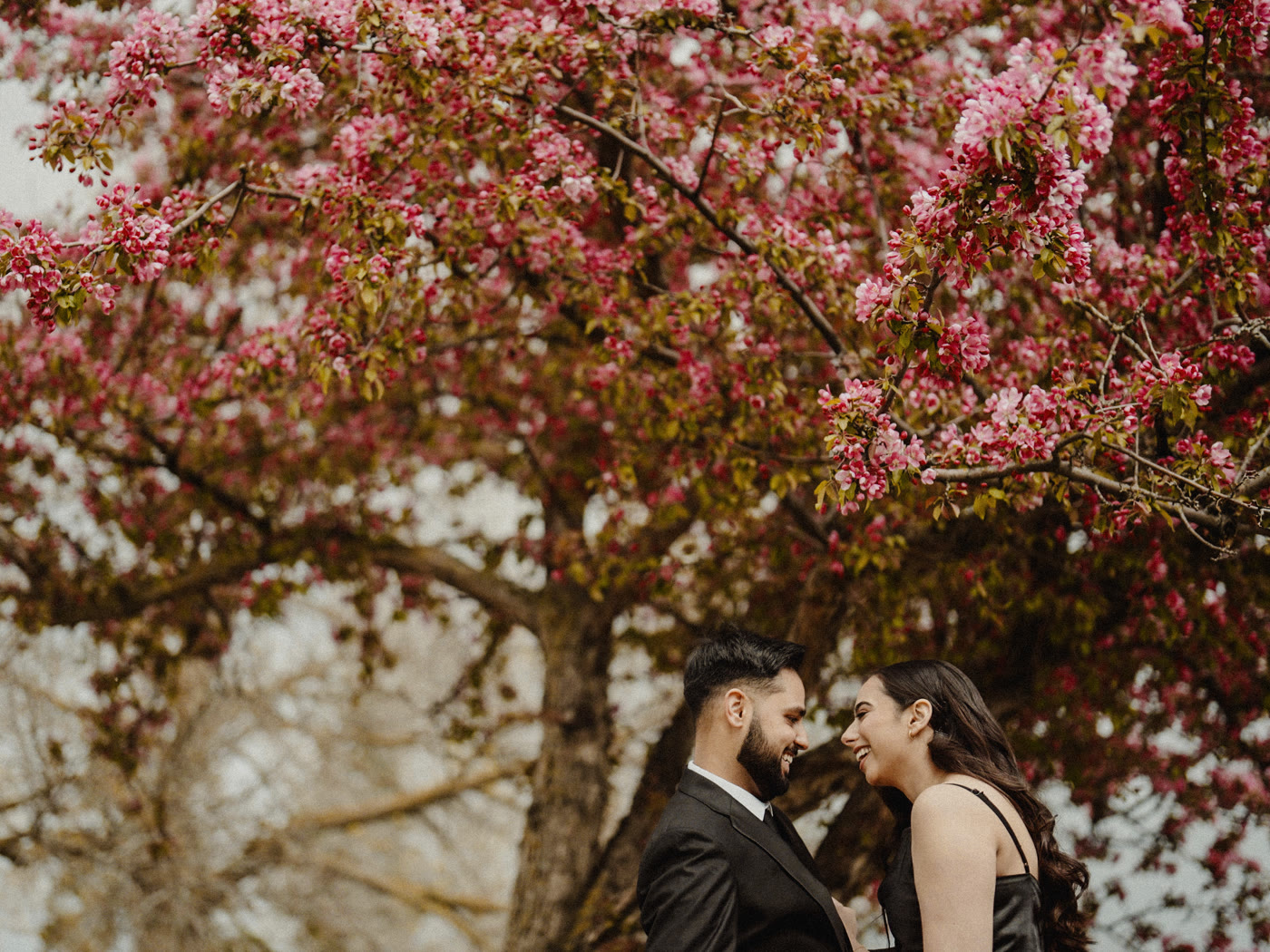 Engagement photography Edmonton — engagement couple cherry blossom closeup edmonton
