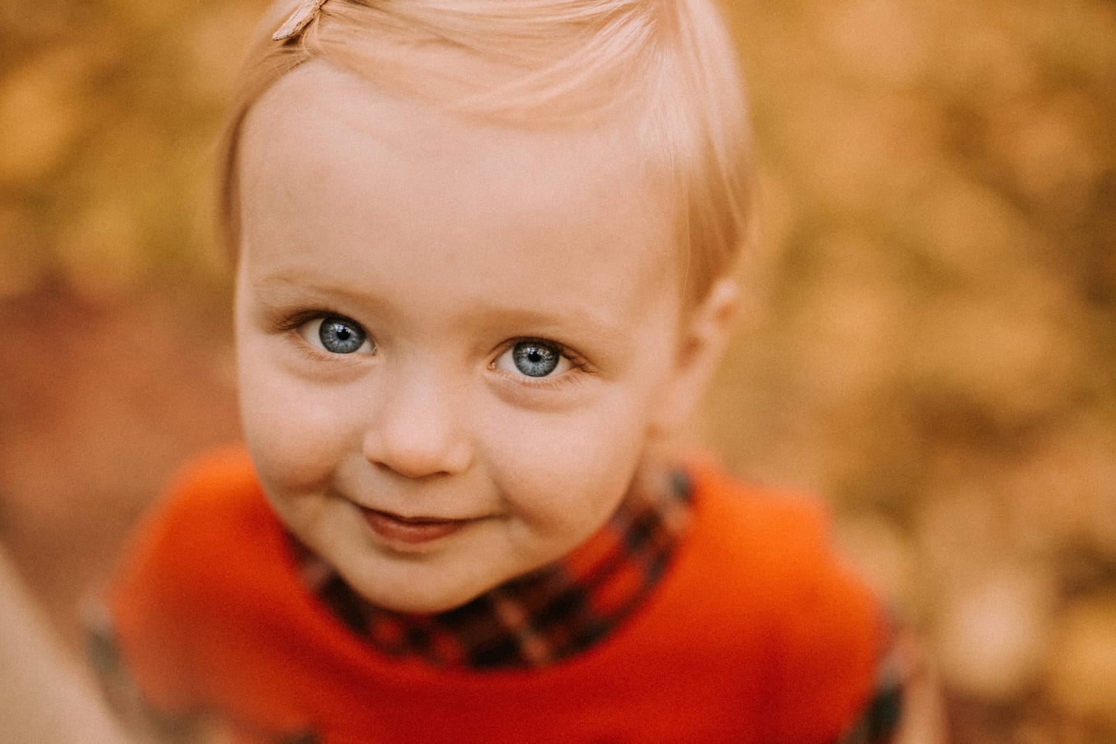 Family photography Edmonton — fall family session