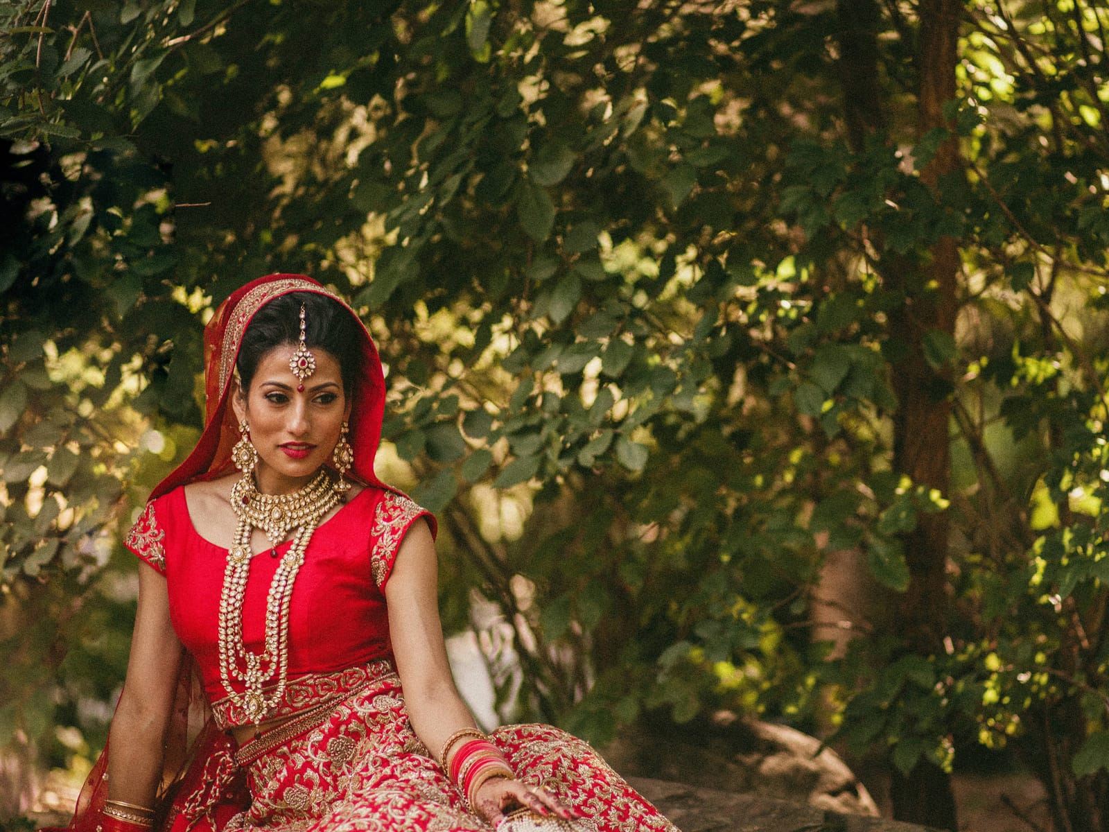 Indian wedding photography Edmonton — wedding guests celebration