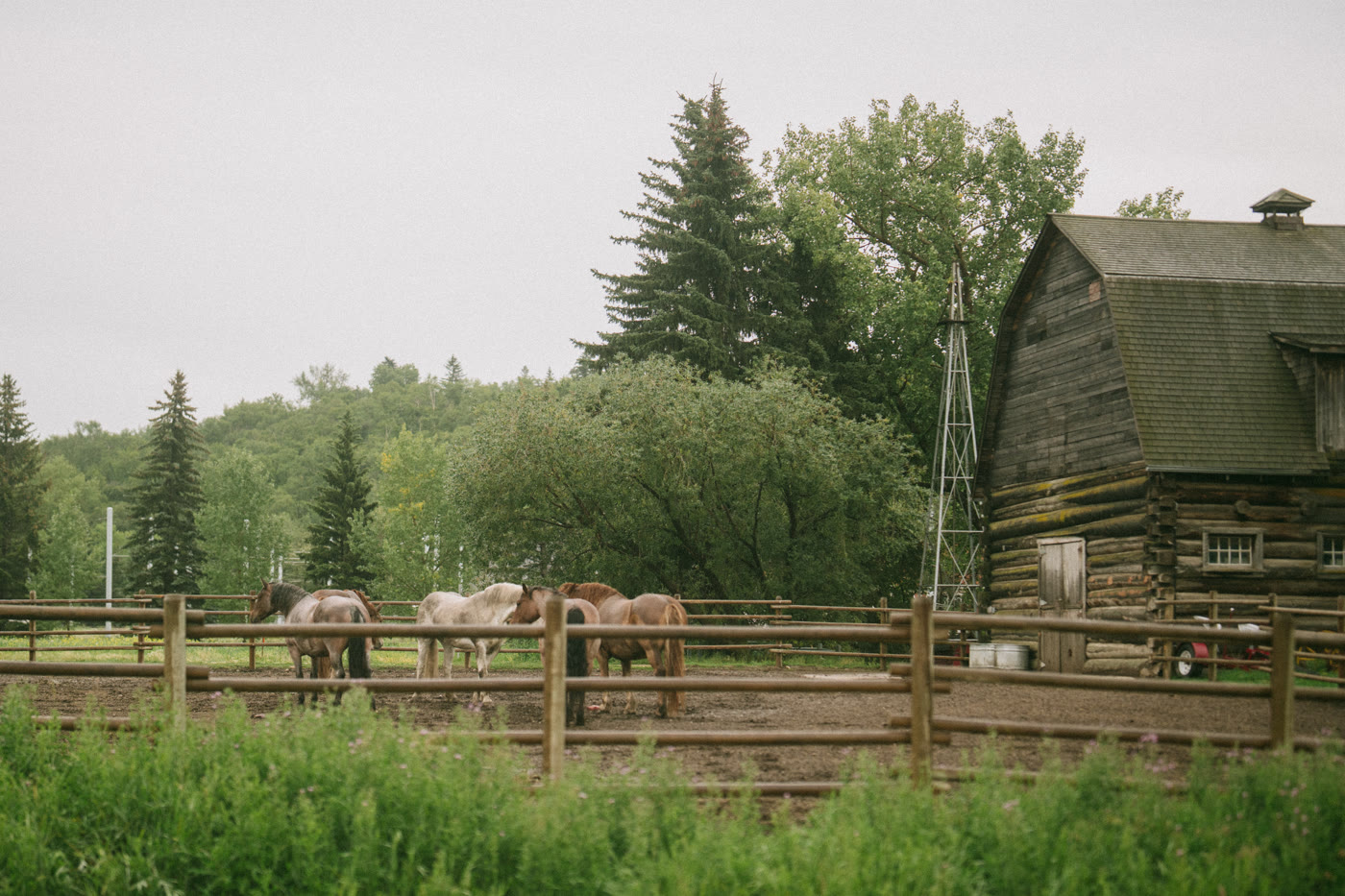 Edmonton weddings photography by MH Photography
