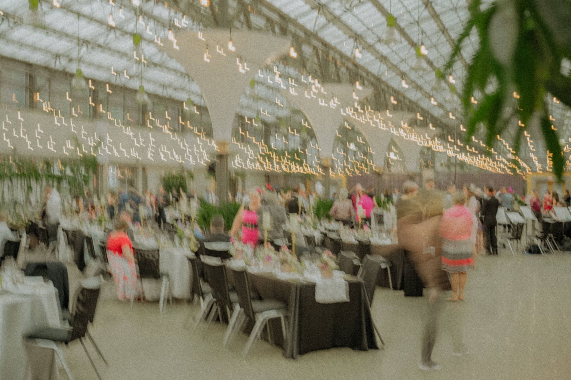 Edmonton wedding photography — wedding toast